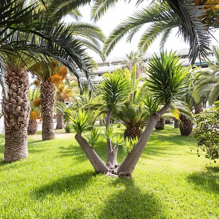 Con Vistas A Montanas * 푸에르토 드 라 크루즈